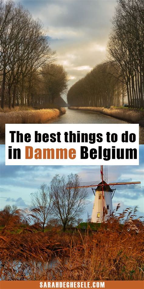 damme belgium|Things to Do in Damme